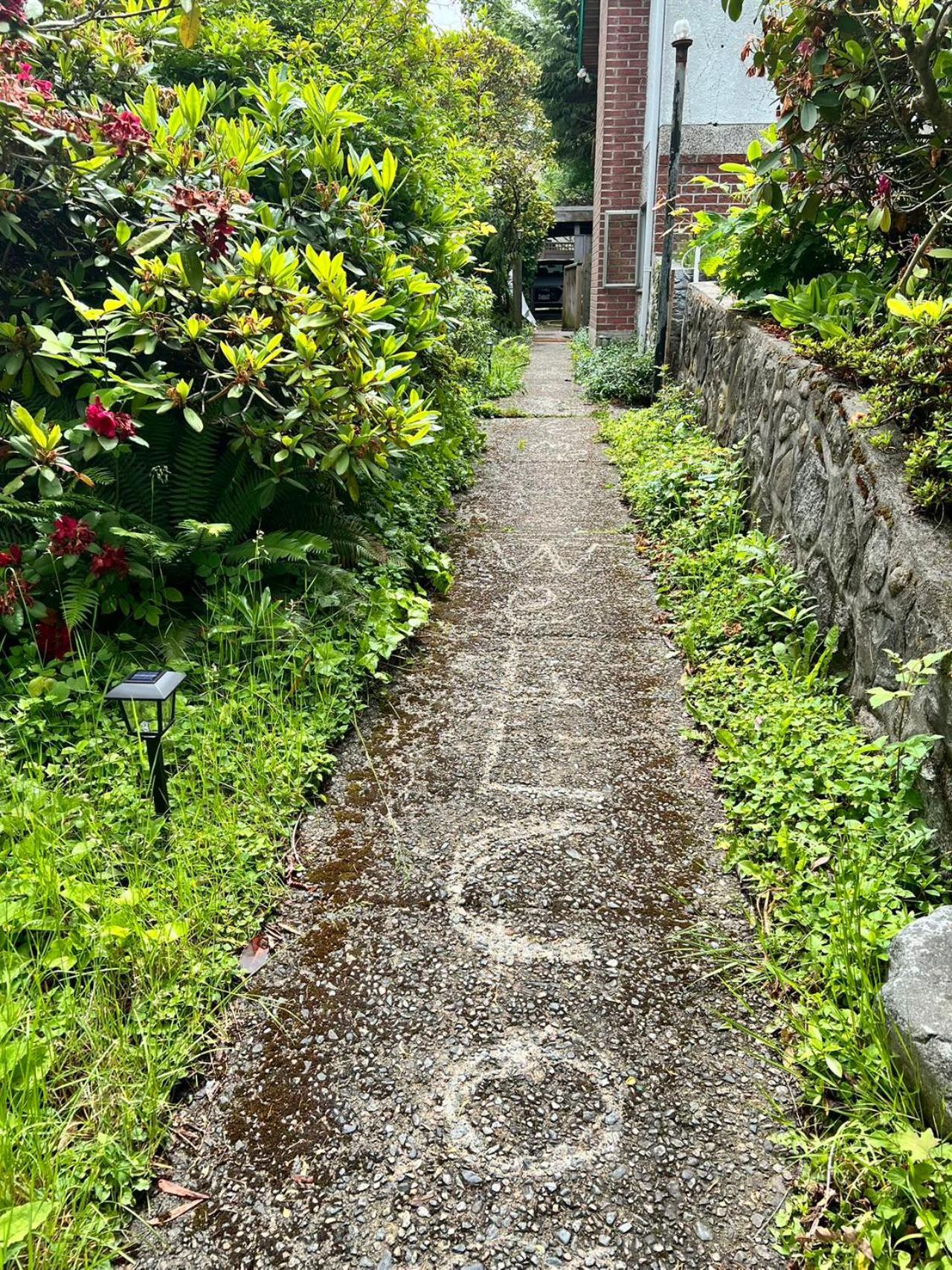 Green House In Vancouver West المظهر الخارجي الصورة